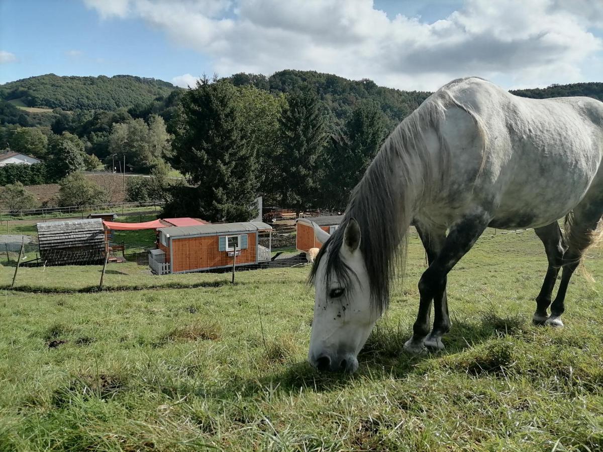 Zuruck Zur Natur - Urlaub Im Zirkuswagen, Sommeratelier Oder Schindelwagen Adenbach エクステリア 写真