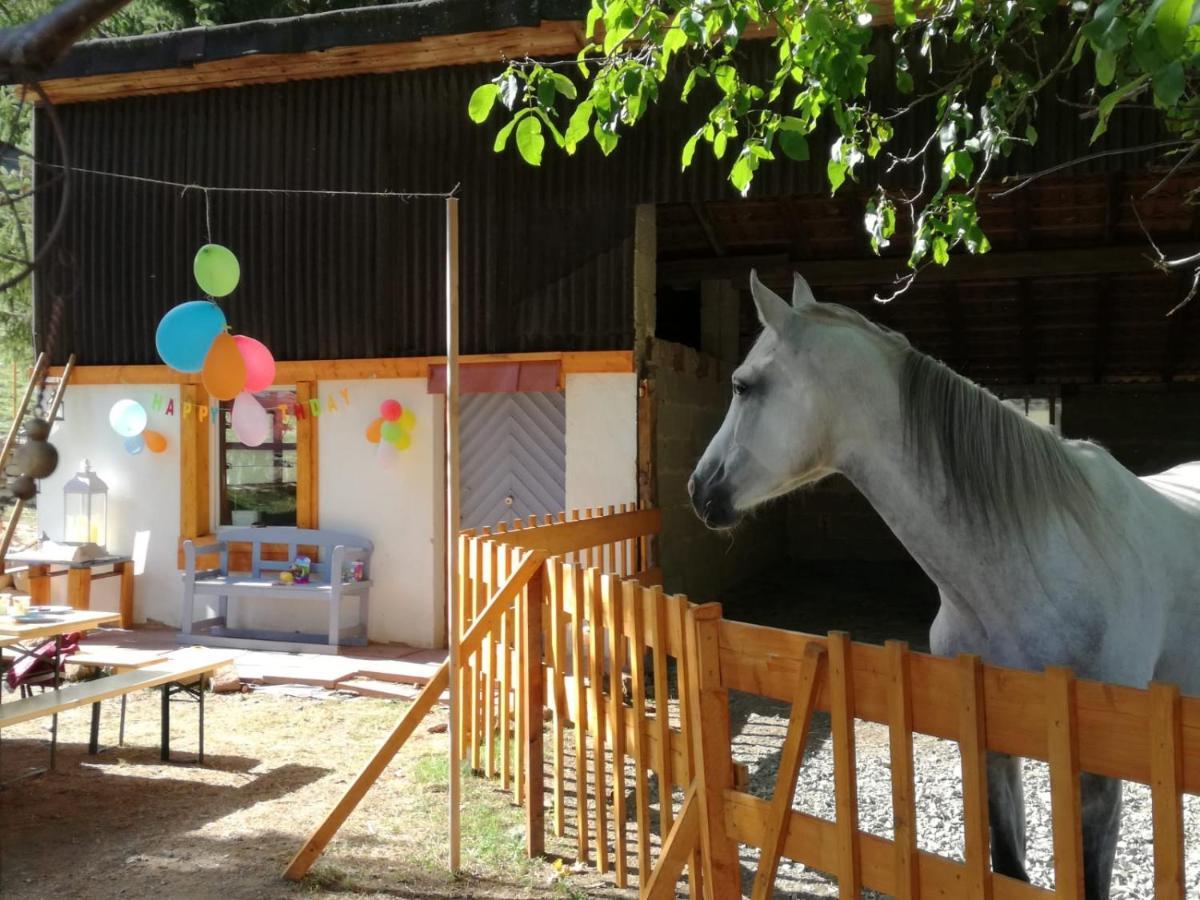 Zuruck Zur Natur - Urlaub Im Zirkuswagen, Sommeratelier Oder Schindelwagen Adenbach エクステリア 写真