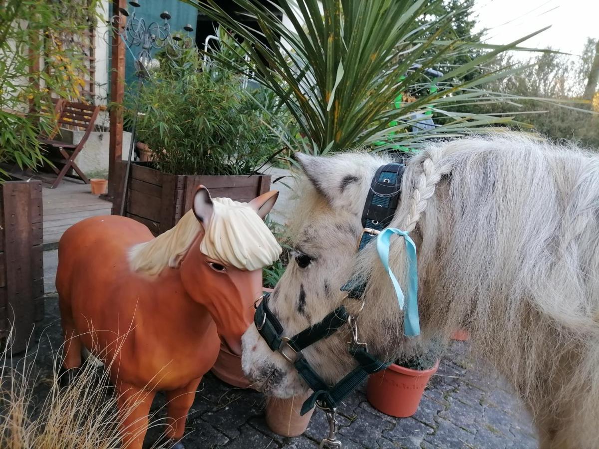 Zuruck Zur Natur - Urlaub Im Zirkuswagen, Sommeratelier Oder Schindelwagen Adenbach エクステリア 写真